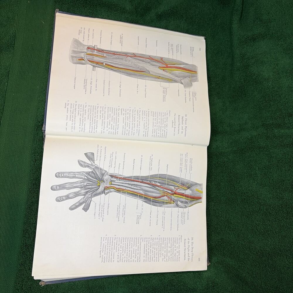 Grant's Atlas of Anatomy J.C. Boileau Grant 1947 Second Edition HC Vintage